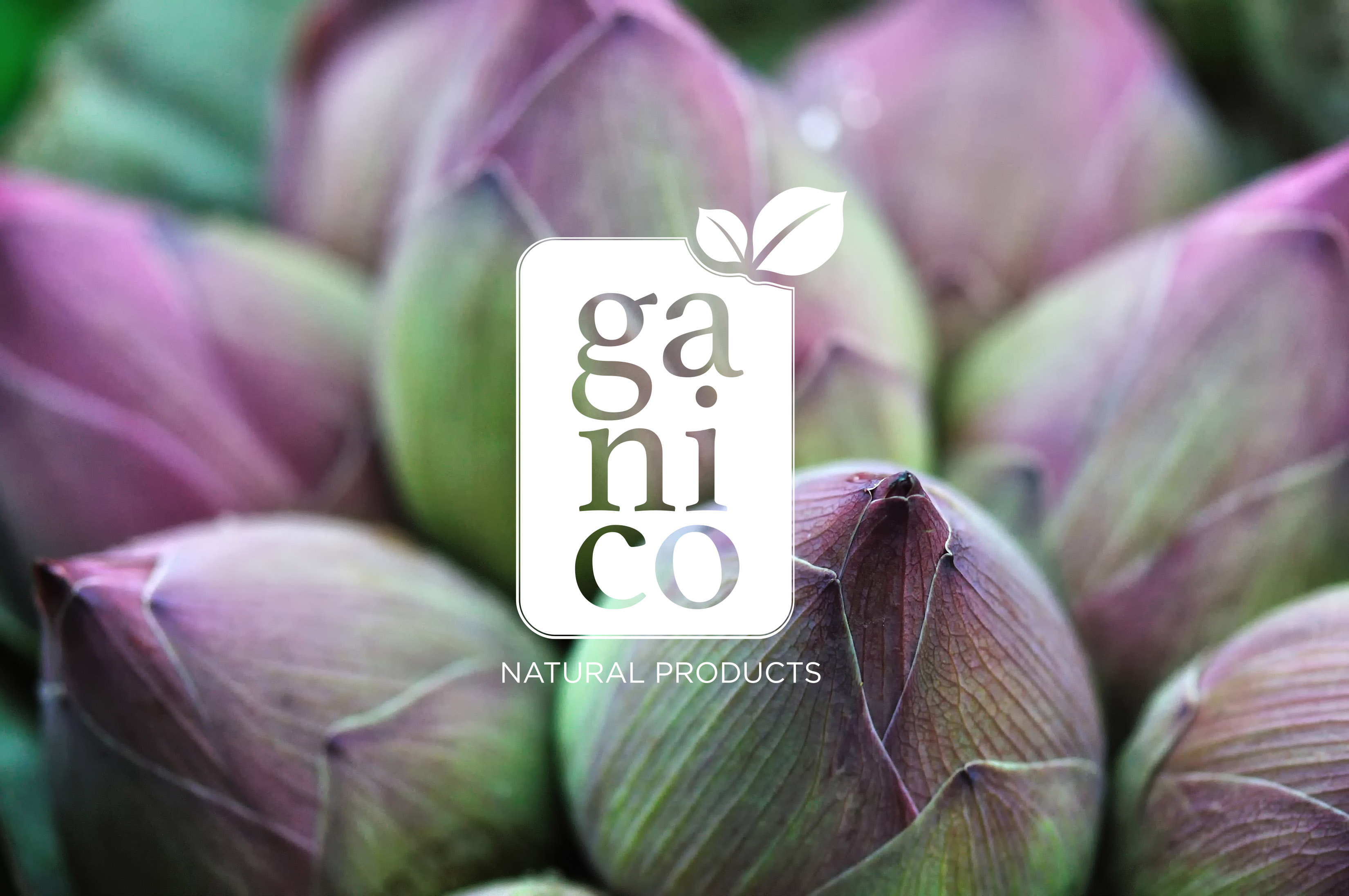 Ganico — On Brand Color