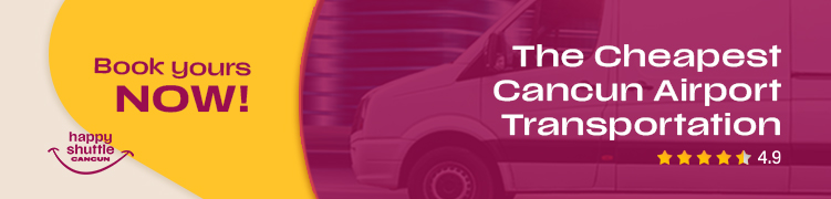 Happy Shuttle — Campaign Banner